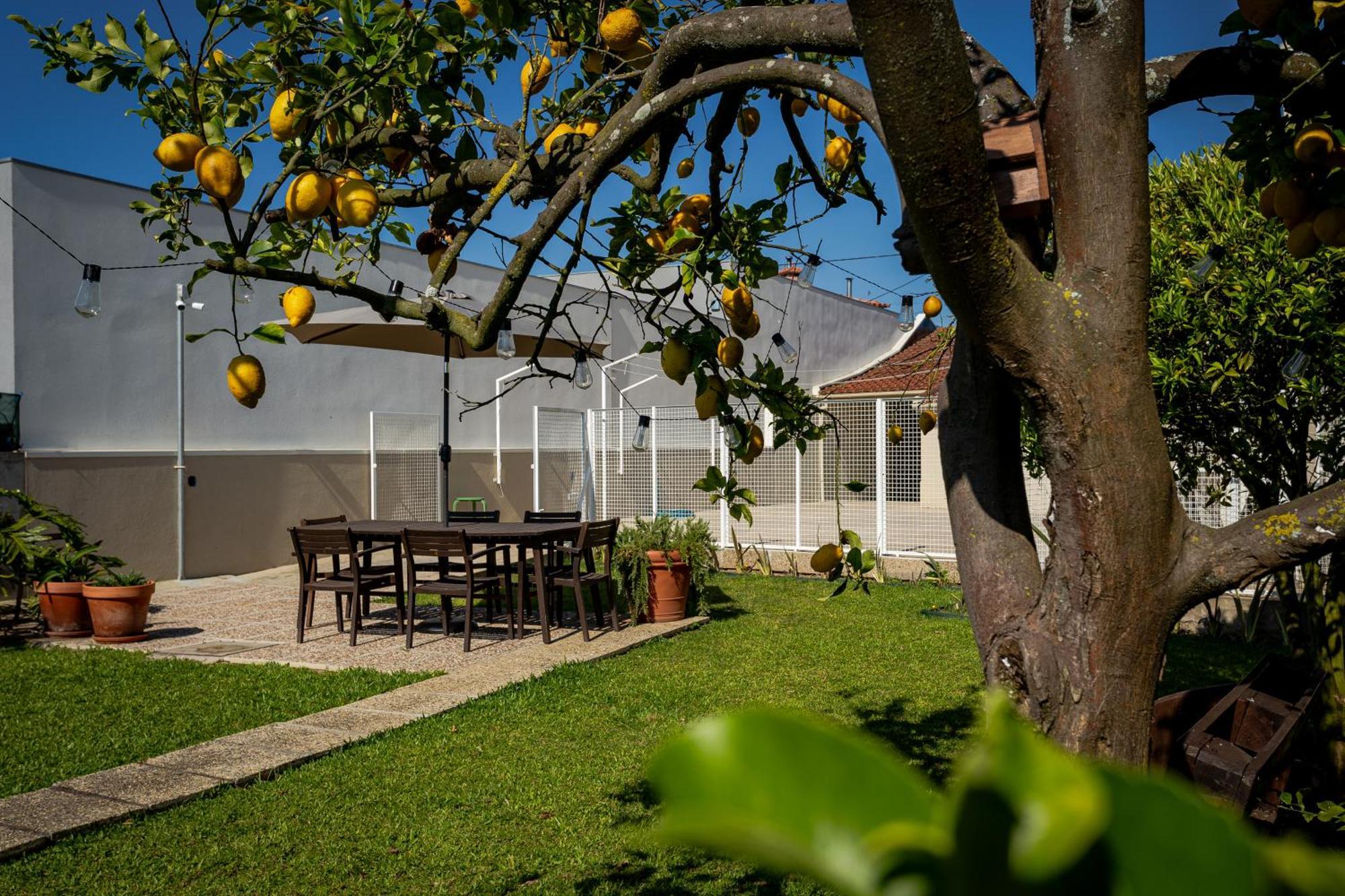 714 Mugnano House Aveleda Vila Vila do Conde Exterior foto